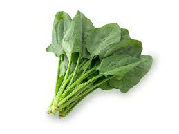 ほうれん草